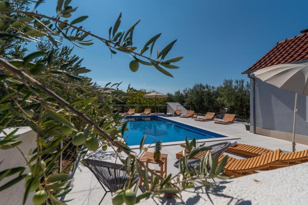 טרוגיר Villa Dalmata מראה חיצוני תמונה